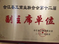 合江县工商业联合会第十二届副主席单位